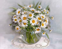 Без бренда «2KMA-0021» в Чебоксарах