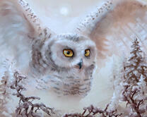 Без бренда «2KMB-3848» в Чебоксарах