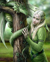 Без бренда «Дракон и эльф» в Чебоксарах