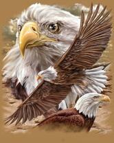 Без бренда «2KMB-4315» в Чебоксарах