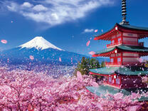 Без бренда «2KSB-7277» в Чебоксарах