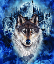 Без бренда «2KXSB-0687» в Чебоксарах