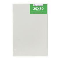 Без бренда «Коробка 80 шт.: Холст Две картинки на подрамнике 20X30» в Чебоксарах