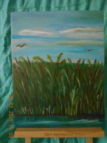 Фотографии готовых работ картин по номерам и алмазной мозаики