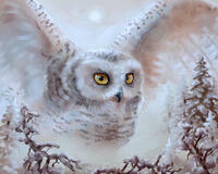 Без бренда «Полярная сова над лесом (20шт)» в Чебоксарах