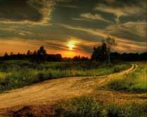 Без бренда «Проселочная дорога на закате» в Чебоксарах