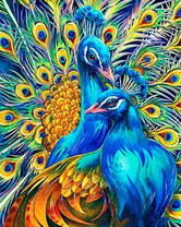 Яркая пара павлинов