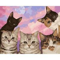 Без бренда «Такие разные котики» в Чебоксарах