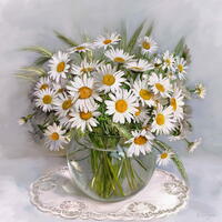 Без бренда «Букет свежих ромашек» в Чебоксарах