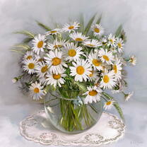 Без бренда «Букет свежих ромашек» в Чебоксарах