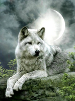 Без бренда «Коробка 25 шт. картин по номерам BOX25-GX21058» в Чебоксарах