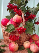 Без бренда «Коробка 25 шт. картин по номерам BOX25-GX5174» в Чебоксарах