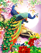 Роскошные павлины и цветы