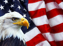 Яркие символы Америки