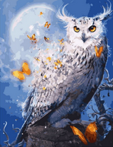 Белая сова на фоне ночи