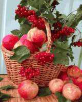 Без бренда «Плетёная корзина с калиной и яблоками» в Чебоксарах