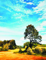 Без бренда «Осенний пейзаж с голубым небом» в Чебоксарах в интернет-магазине  Без бренда «Осенний пейзаж с голубым небом» в Чебоксарах