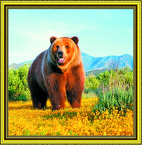 Бурый медведь в горной долине