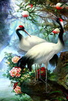 Без бренда «Коробка 25 шт. картин по номерам BOX25-GX29399» в Чебоксарах в интернет-магазине  Без бренда «Коробка 25 шт. картин по номерам BOX25-GX29399» в Чебоксарах