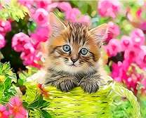 Котенок с нежным взглядом
