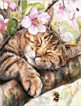 Без бренда «Волосатый котик спит на ветви яблони» в Чебоксарах в интернет-магазине  Без бренда «Волосатый котик спит на ветви яблони» в Чебоксарах